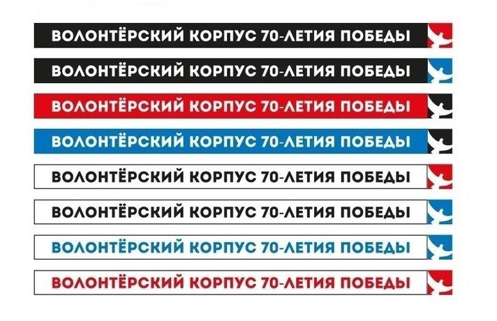 В Тюменской области объявляется набор во Всероссийский волонтерский корпус 70-летия Победы