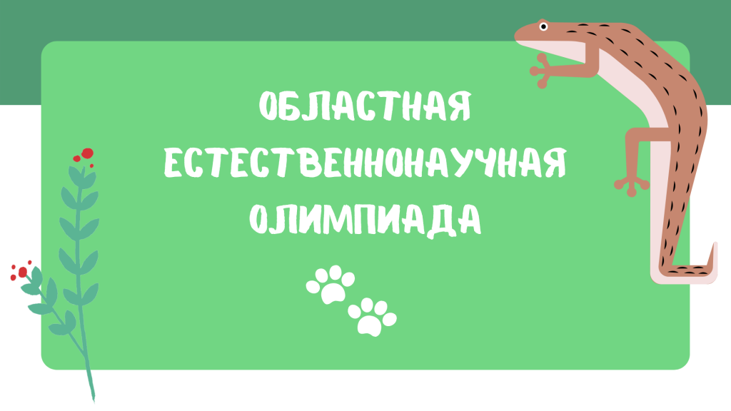 Областная естественнонаучная олимпиада пройдет в дистанционном формате