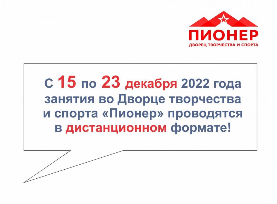 С 15 по 23 декабря занятия проводятся в дистанционном формате