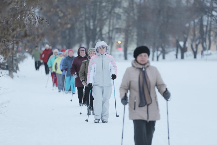 Бесплатный мастер-класс по скандинавской ходьбе в экопарке