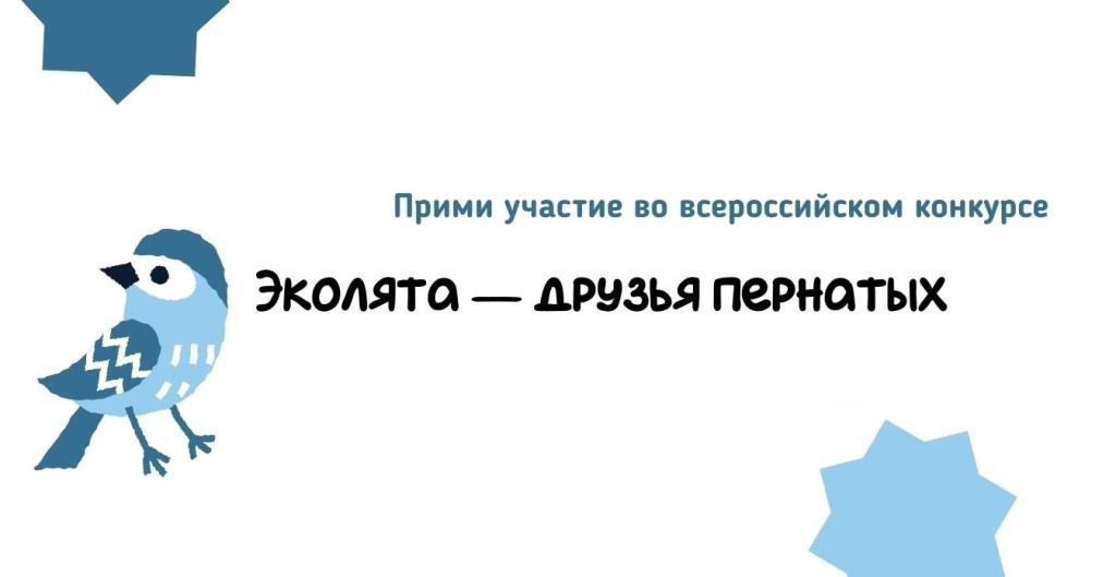 Прими участие во всероссийском конкурсе «Эколята – друзья пернатых»