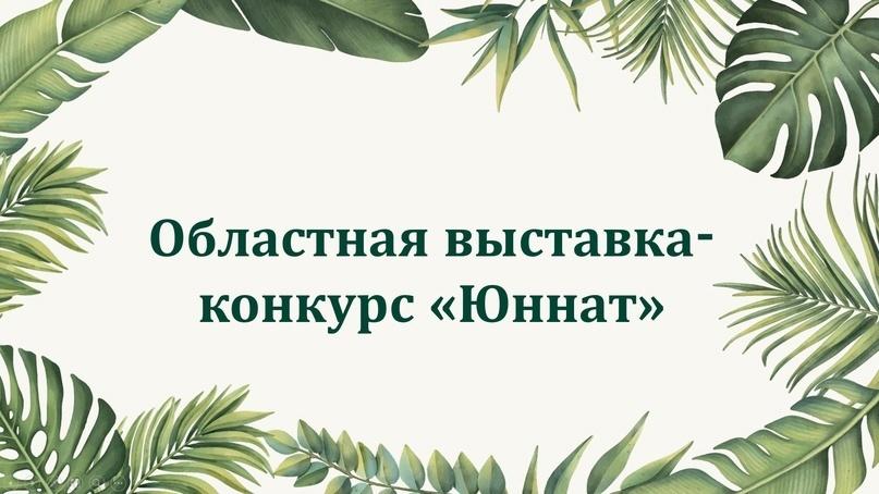 Центр туризма и экологии Дворца творчества и спорта «Пионер» приглашает принять участие в Областной выставке-конкурс «Юннат-2024»!